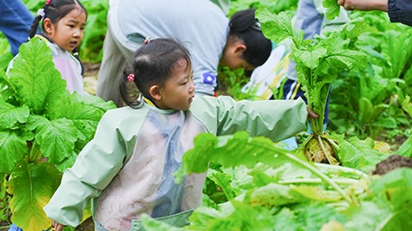 勞動(dòng)促成長(zhǎng)