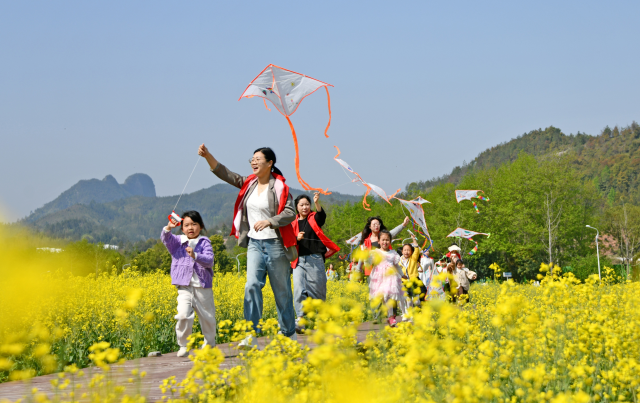 放風(fēng)箏 享春光