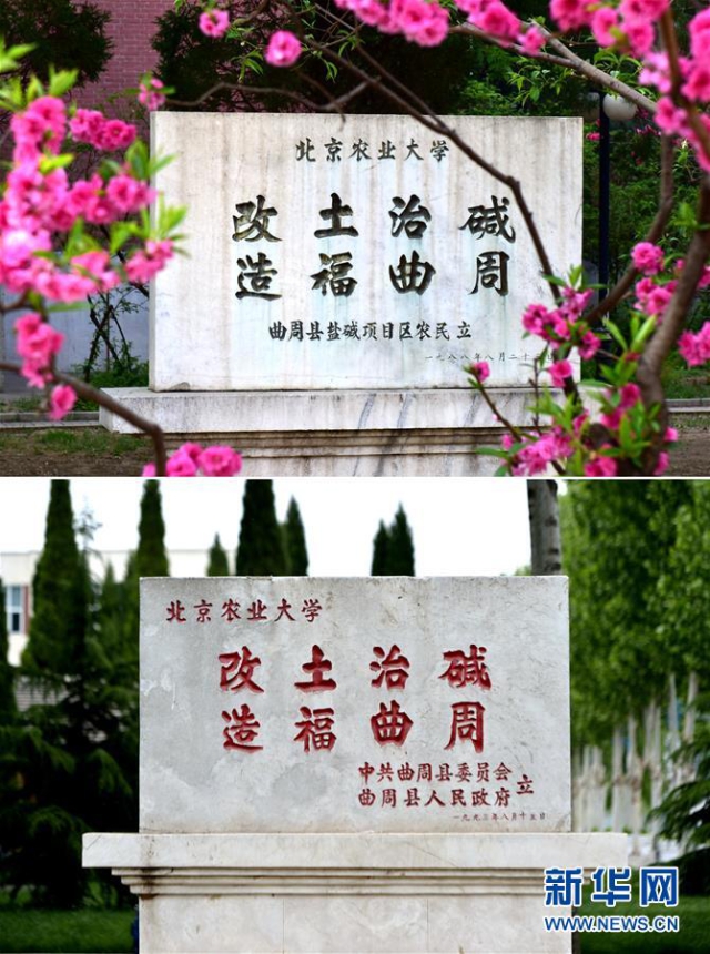 （新華全媒頭條·愛國情 奮斗者·圖文互動(dòng)）（2）把論文寫在祖國的大地上——中國農(nóng)業(yè)大學(xué)46年扎根河北曲周服務(wù)鄉(xiāng)村振興紀(jì)實(shí)