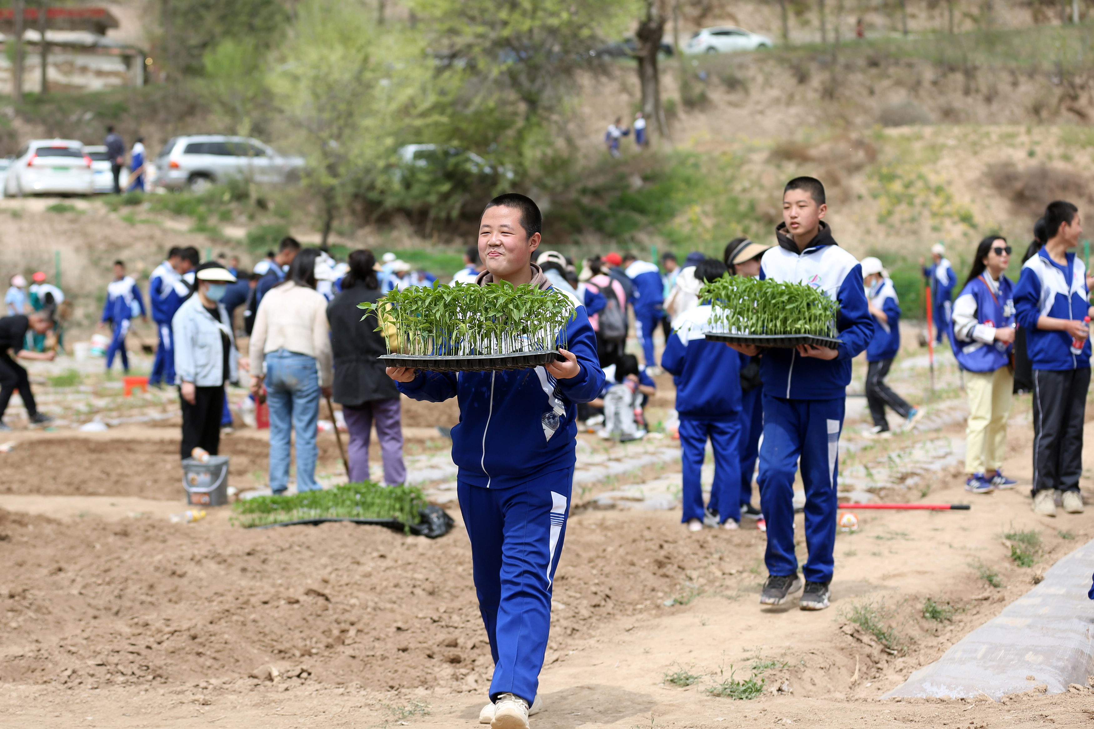 09——4月27日，在甘肅省平?jīng)鍪械谒闹袑W(xué)行知園學(xué)農(nóng)基地里，學(xué)生們?cè)诎徇\(yùn)辣椒苗。.JPG