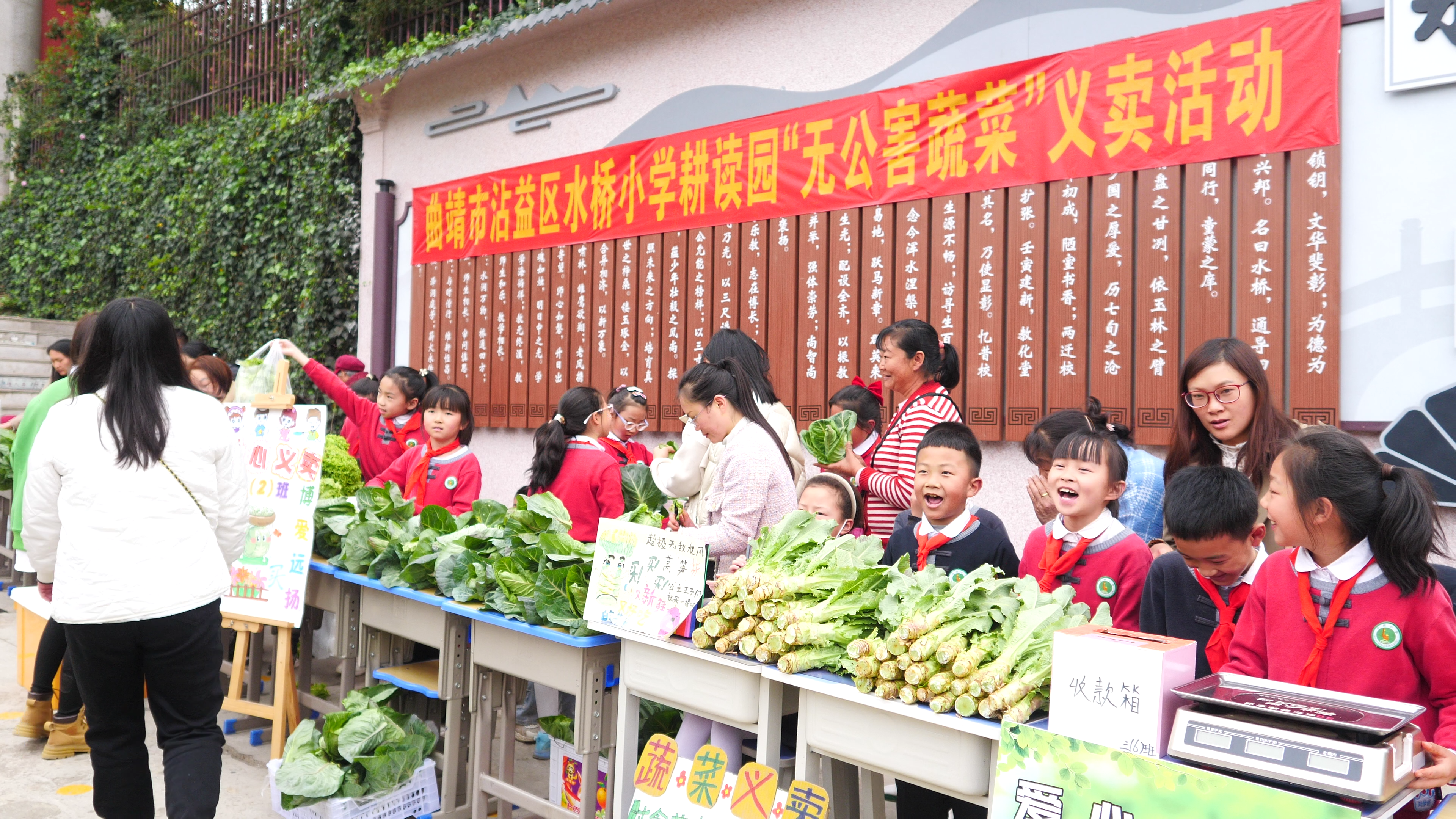 水橋小學(xué)耕讀園里蔬菜進(jìn)行義賣活動 余庭勝拍攝.png